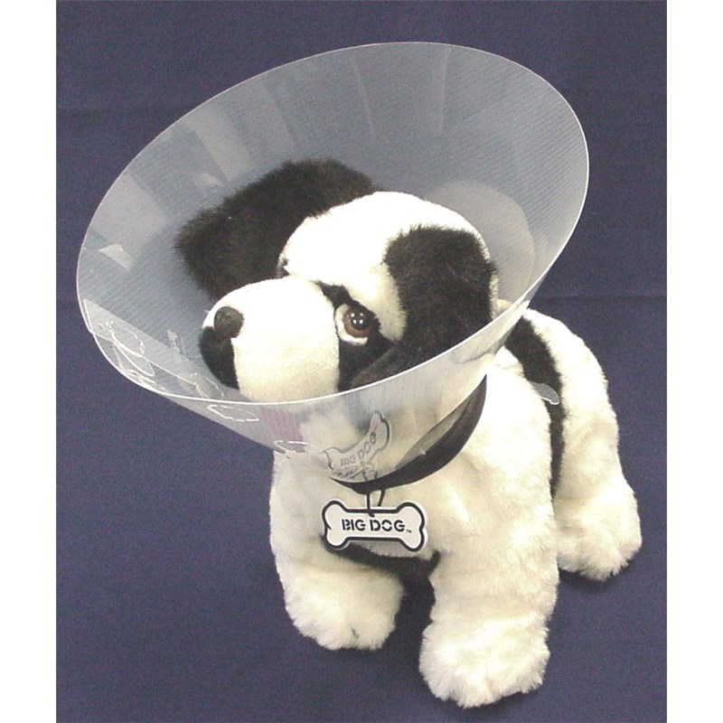 Buster Clic Collar 25cm