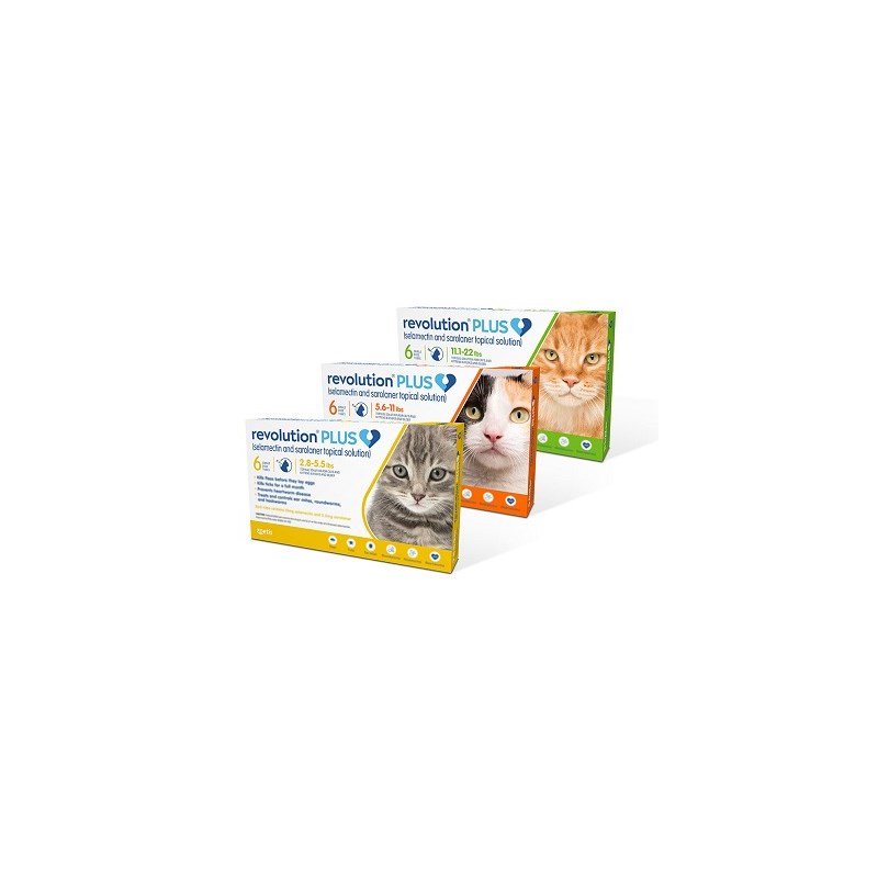 Revolution Plus Cat Gold 2.8-5.5Lb 6ds Card (Must purchase a minimum of 5 cards)