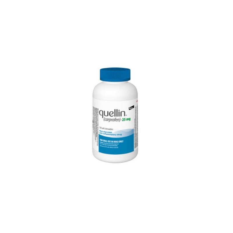 Quellin Chew Tab 25mg 120ct