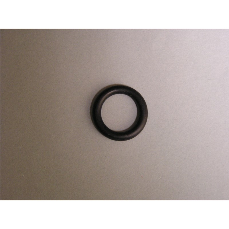 Stomach Pump O Ring