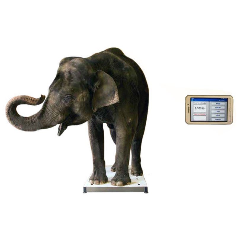 SR Scale Zoo Platform 48&quot; x 96&quot; Wireless