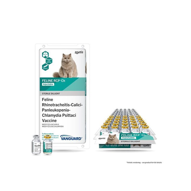 Vanguard Feline RCP + Ch 25 x 1 Dose