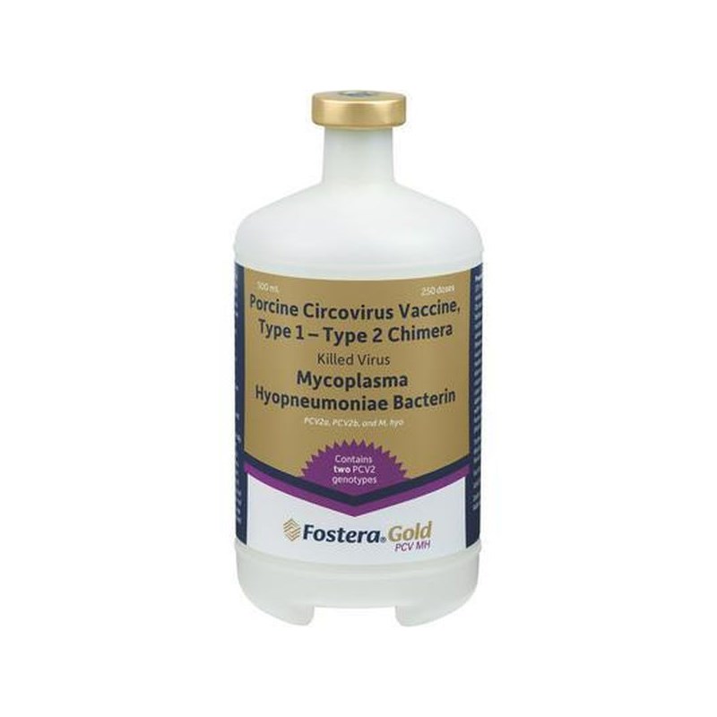 Fostera Gold PCV/MH 250 Dose