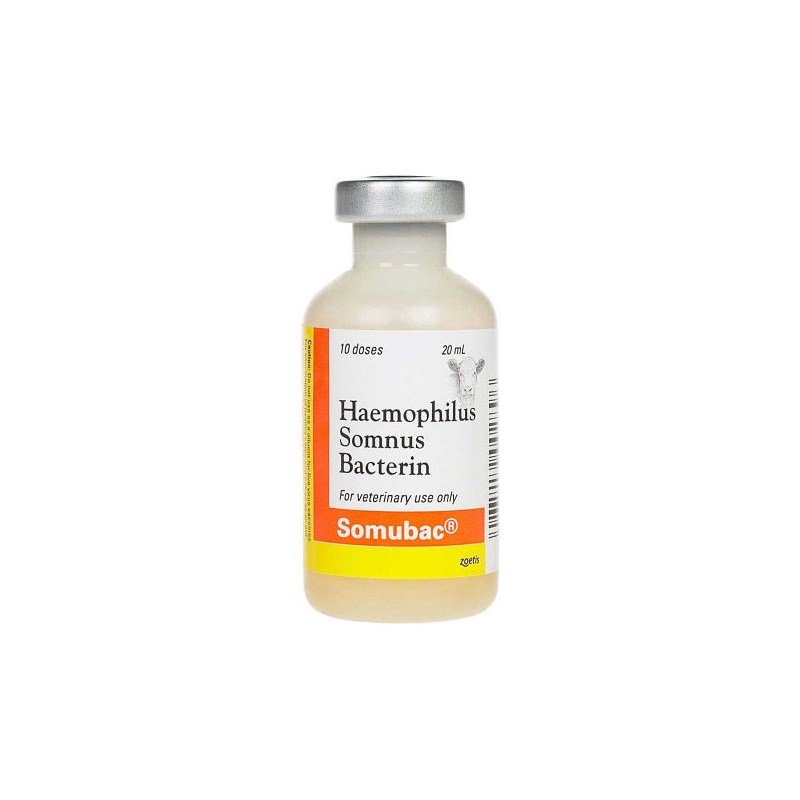 Somubac 10 Dose 20 ml