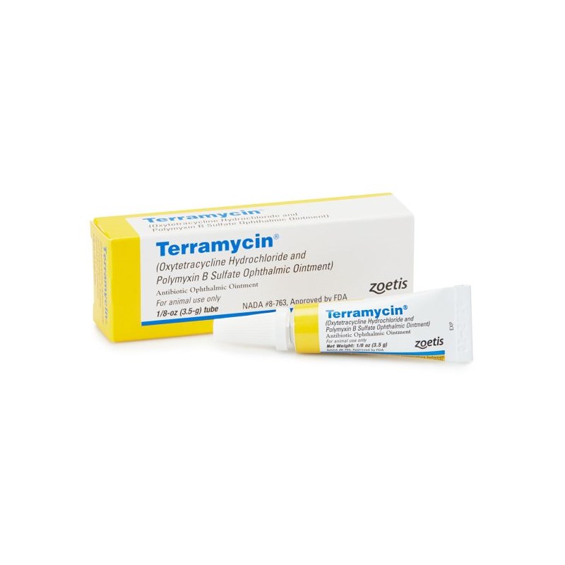 Terramycin Ophthalmic Ointment 1/8 oz