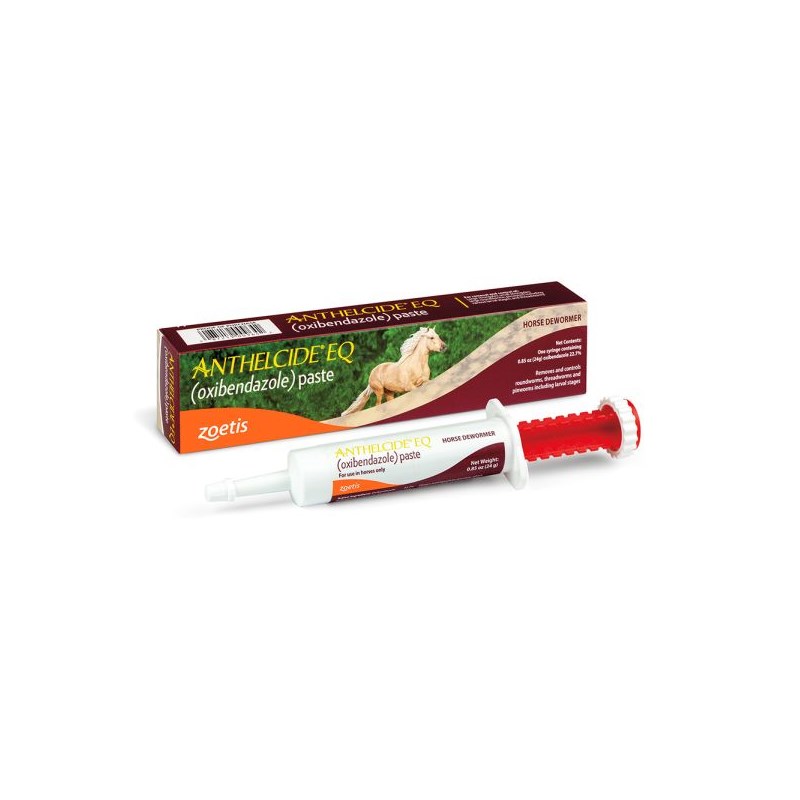 Anthelcide EQ Equine Paste 24 gm Syringe