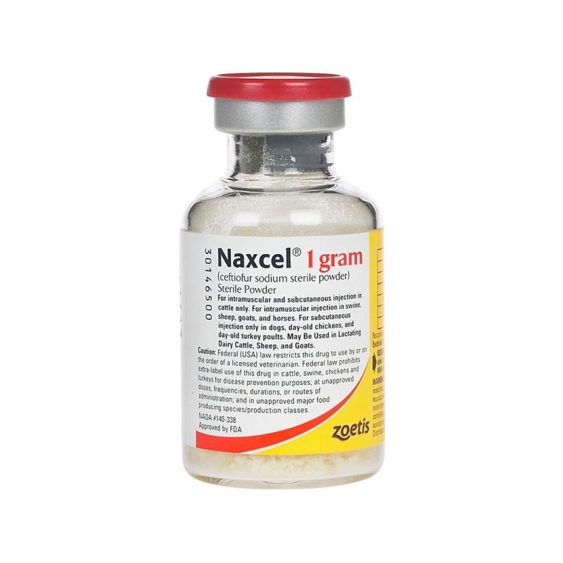 Naxcel Sterile Powder 50 mg/ml 20 ml