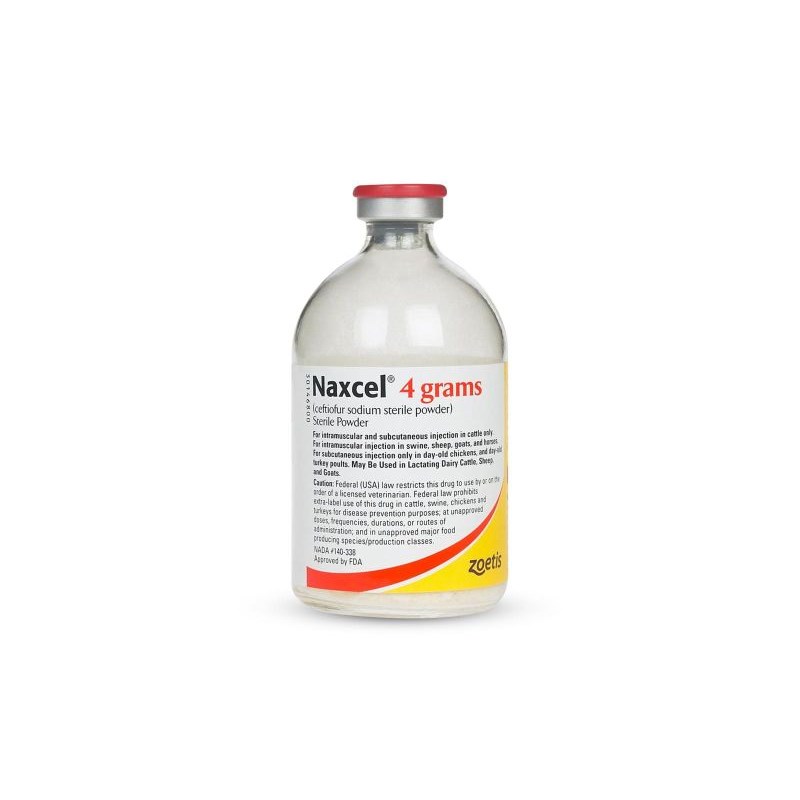 Naxcel Sterile Powder 50 mg/ml 80 ml