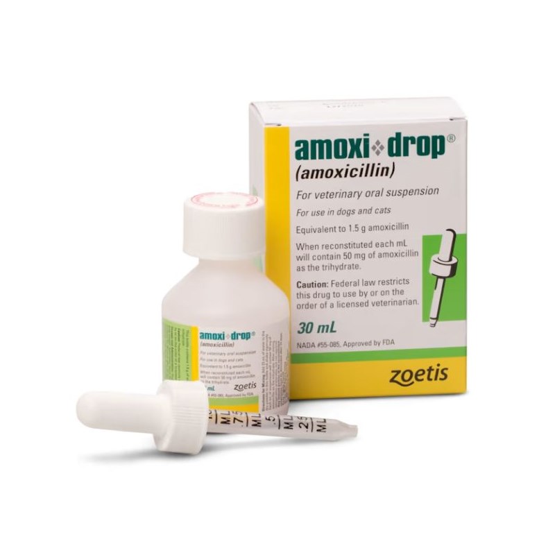 Amoxi-Drop Oral Suspension 50 mg/ml 12 x 30 ml