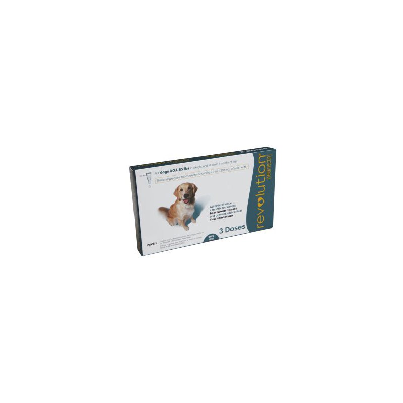 Revolution Topical Canine 40.1 - 85 lbs Teal 5 x 3 ct