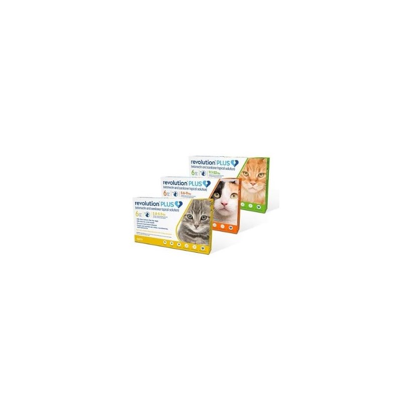 Revolution Plus Cat Orange 5.6-11Lb 6ds Card (Must purchase a minimum of 5 cards)