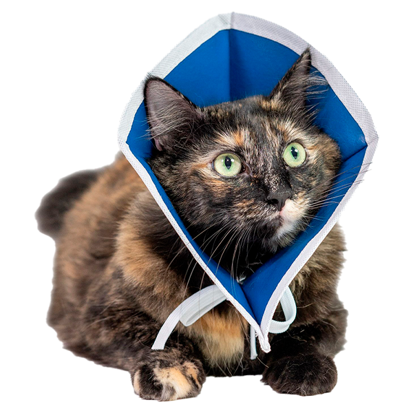 Mvet Free Flex E-E-Collar 8&quot;