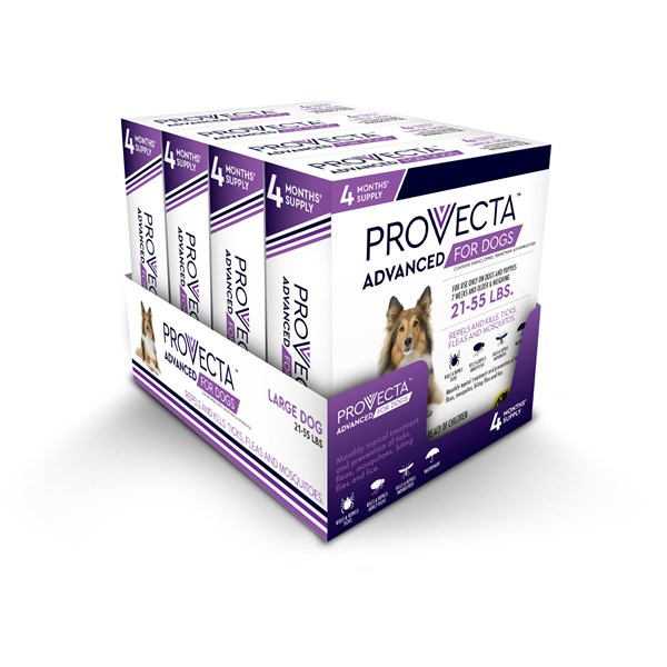 Provecta Advanced for Dogs Large (21-55lbs) ( 4 dose 4 cards/bx)