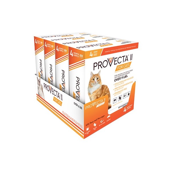 Provecta II for Cats Large (Over 9lbs) ( 4 dose 4 cards/bx)