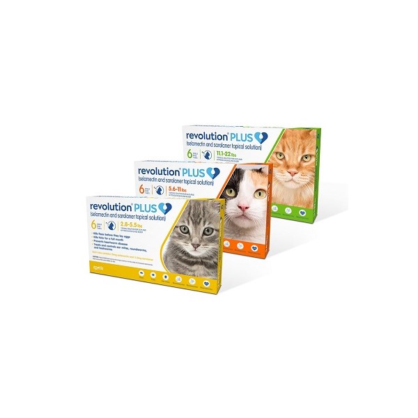 Revolution Plus Cat Gold 2.8-5.5Lb 6ds Card (Must purchase a minimum of 5 cards)