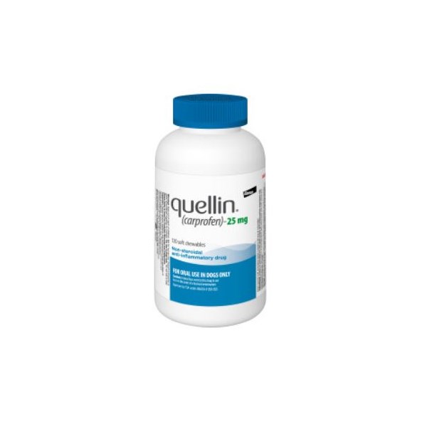 Quellin Chew Tab 25mg 120ct