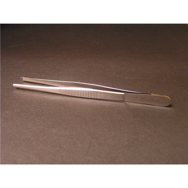 Tissue Forcep 5-1/2&quot; 2X3