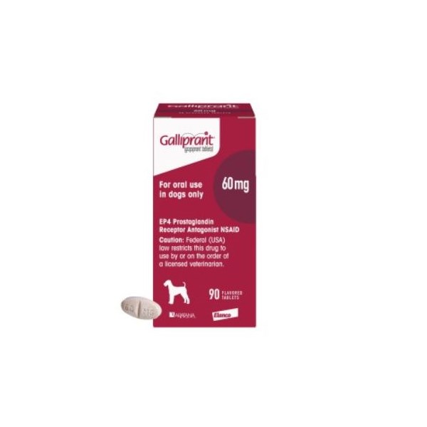 Galliprant Flavored Tabs 60mg 90ct