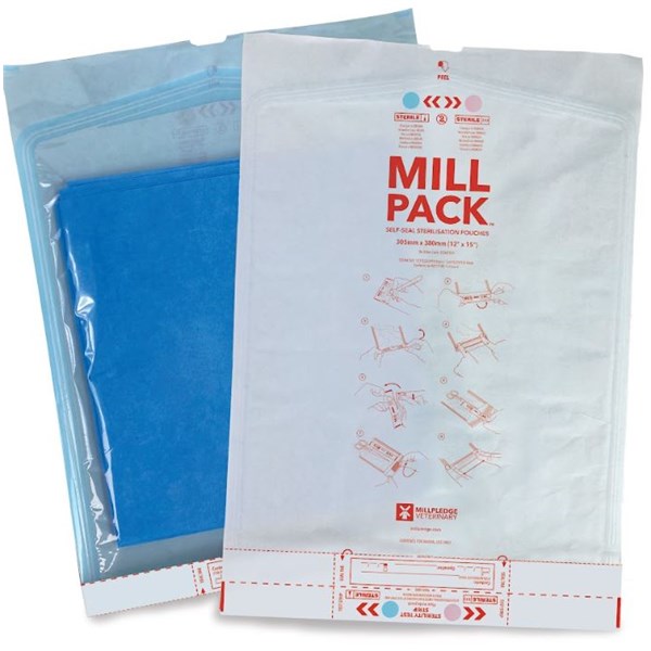 Self Sealing Pouch 12&quot; X 15&quot;  200/pk