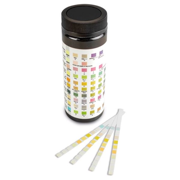 &quot;P&quot; Sticks Urine Test Strips 50ct