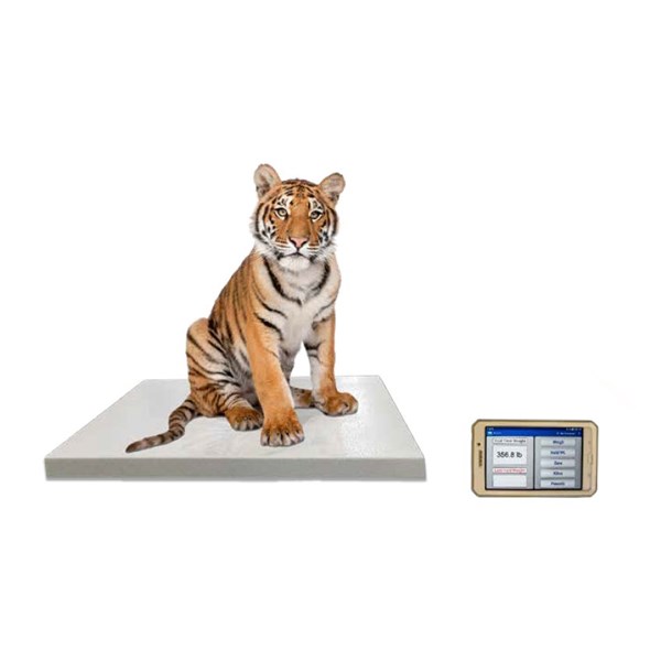 Scale Sr Zoo Platform 36&quot;X54&quot; Wireless