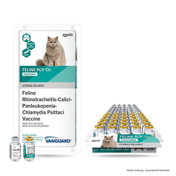 Vanguard Feline RCP + Ch 25 x 1 Dose