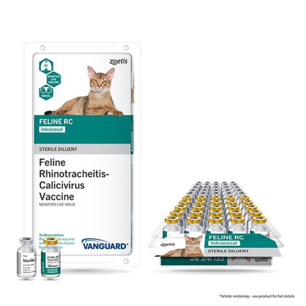 Vanguard Feline RC Intranasal 25 ct