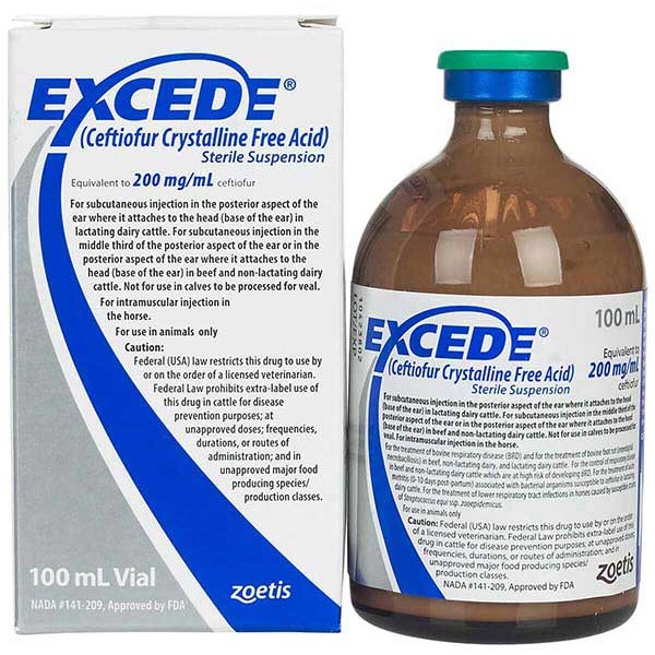 Excede Injection for Cattle/Equine 200 mg/ml 100 ml