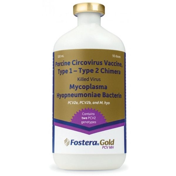 Fostera Gold PCV/MH 50 Dose