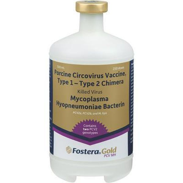 Fostera Gold PCV/MH 250 Dose