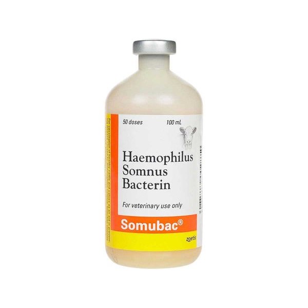 Somubac 50 Dose 100 ml