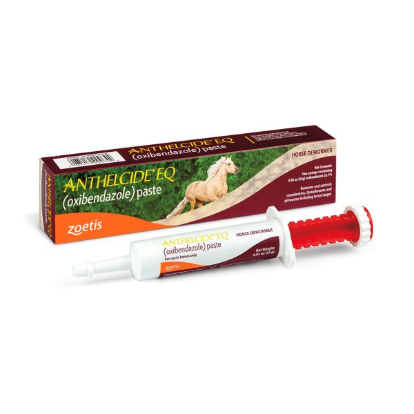 Anthelcide EQ Equine Paste 24 gm Syringe