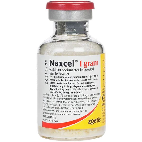 Naxcel Sterile Powder 50 mg/ml 20 ml