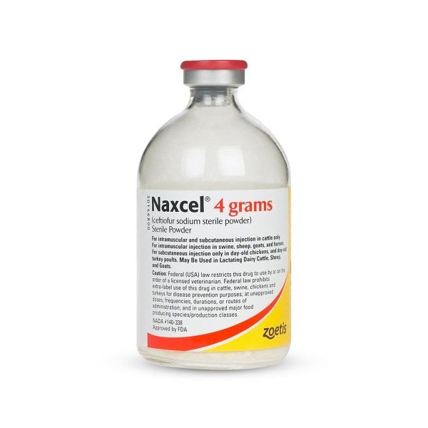 Naxcel Sterile Powder 50 mg/ml 80 ml