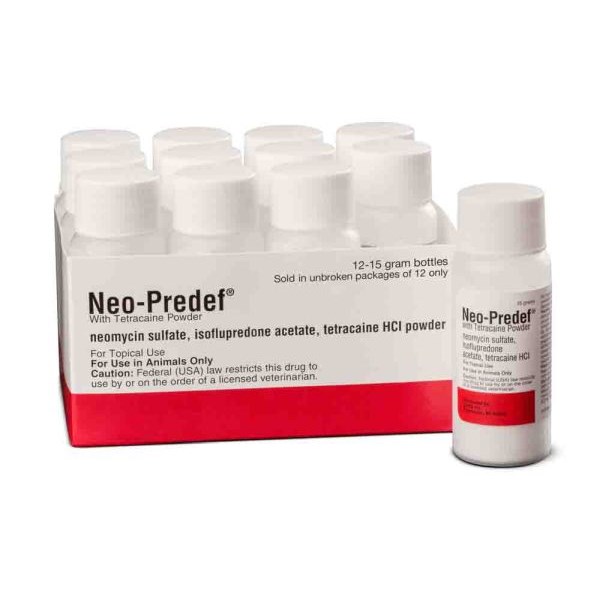 Neo Predef with Tetracaine Topical Powder 15 gm 12 ct