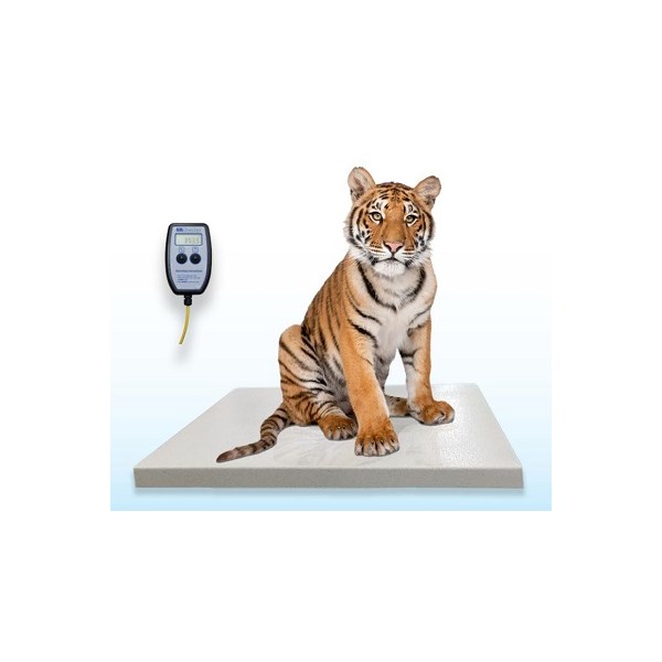 SR Scale Zoo Platform Wired with Remote Display36&quot; x 54&quot;