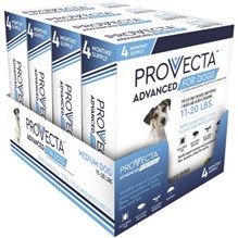 Provecta Advanced for Dogs Medium (11-20lbs) ( 4 dose 4 cards/bx)