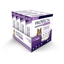 Provecta Advanced for Dogs Large (21-55lbs) ( 4 dose 4 cards/bx)