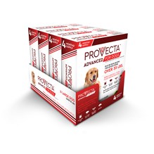 Provecta Advanced for Dogs Extra-Large (55lbs +) ( 4 dose 4 cards/bx)