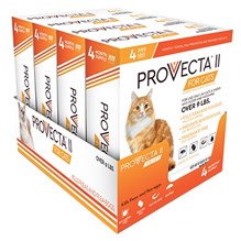 Provecta II for Cats Large (Over 9lbs) ( 4 dose 4 cards/bx)