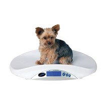 Portable Digital Scale