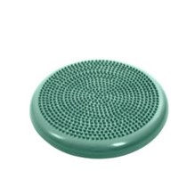 Physio Tactile Discus 22