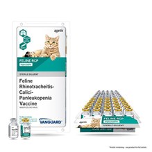 Vanguard Feline RCP 25 x 1 Dose