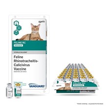 Vanguard Feline RC Intranasal 25 ct