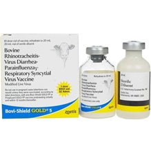 Bovi-Shield Gold 5 10 Dose 20 ml