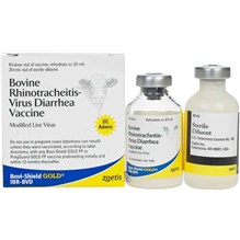 Bovi-Shield Gold IBR/BVD 10 Dose 20 ml