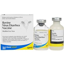 Bovi-Shield Gold BVD 10 Dose 20 ml