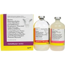 CattleMaster 4+ VL5 25 Dose 125 ml