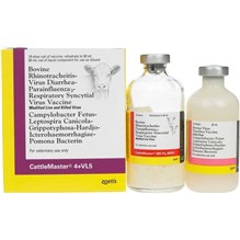 CattleMaster 4+ VL5 10 Dose 50 ml