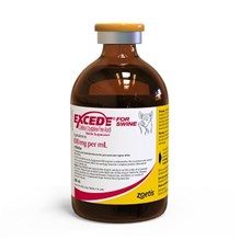 Excede Injection for Swine 100 mg/ml 100 ml